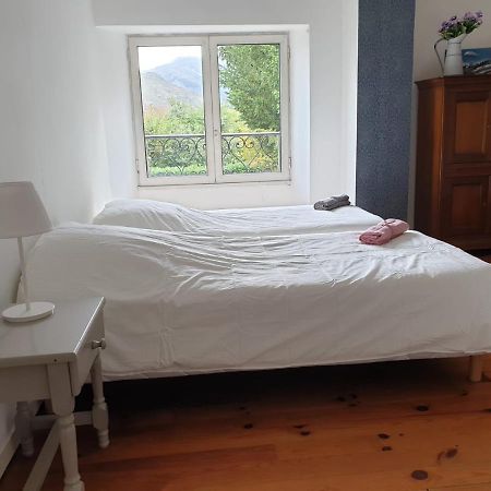 La Bergerie, Maison Spacieuse Avec Grand Jardin, Vue Sur Les Pyrenees Lourdes Zewnętrze zdjęcie